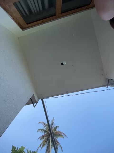 PsiXeya Live Sex August 20, 2025