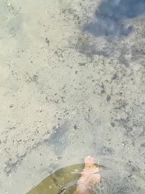 BabyMarm Live Sex August 23, 2025