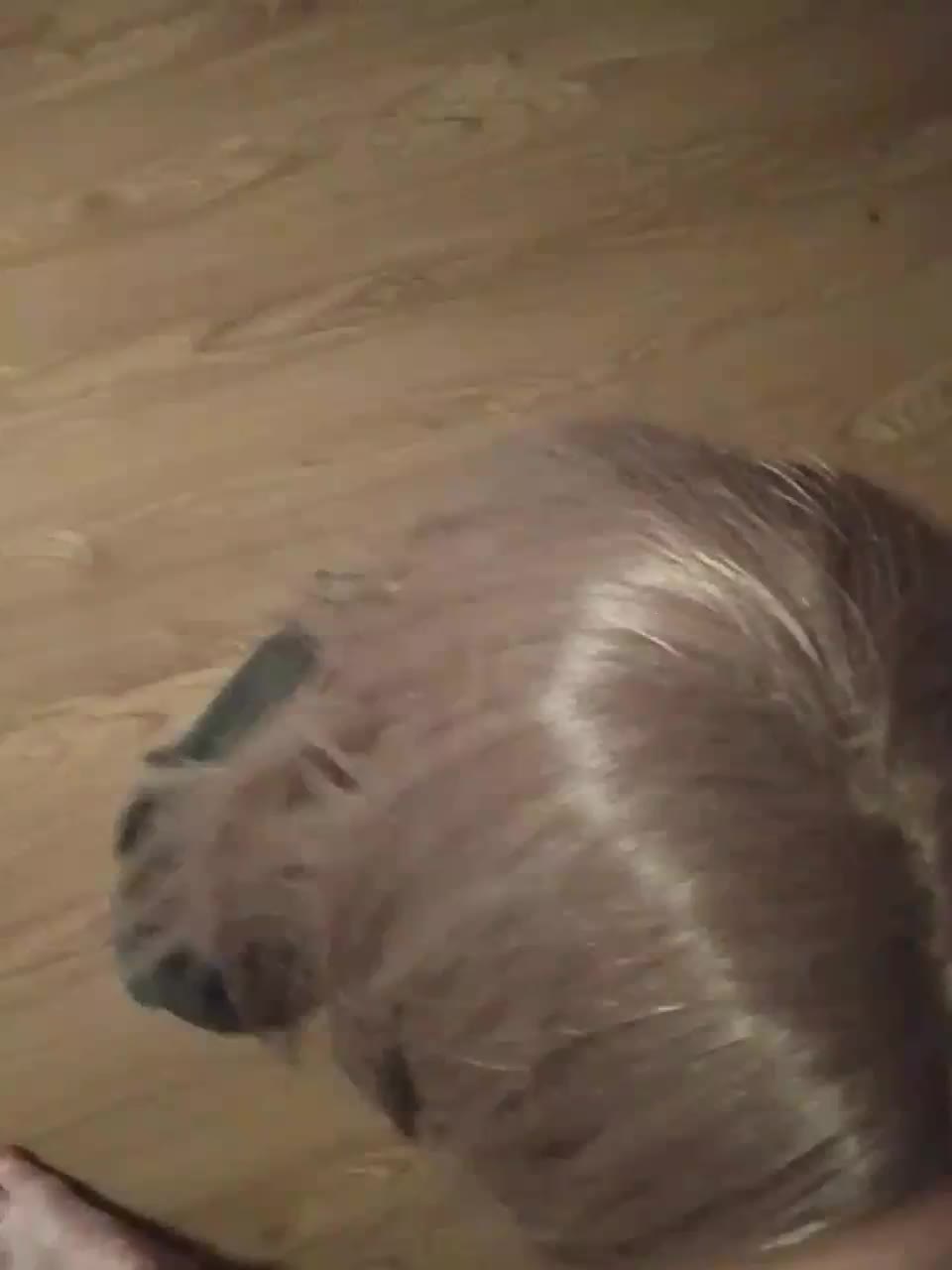 CHANEL77777 Live Sex August 27, 2025