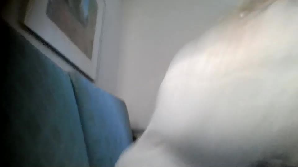 bedbandits Live Sex August 31, 2025