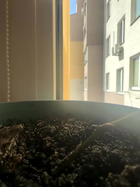 Luizashka Live Sex August 31, 2025