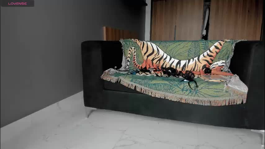 megamizuki Live Sex August 31, 2025