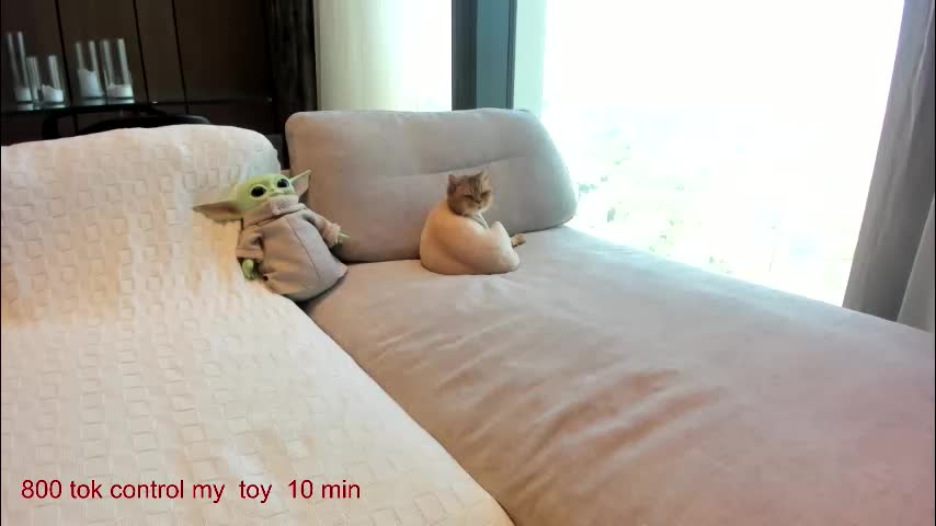 carolinaherera Live Sex August 31, 2025