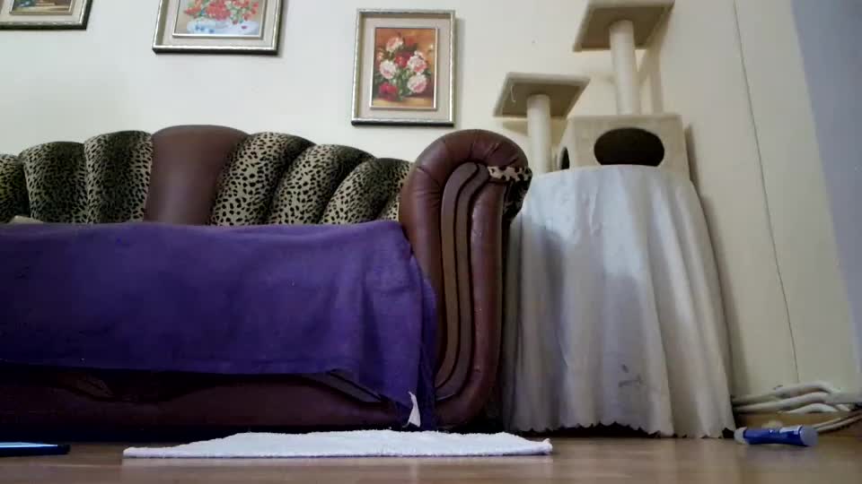 likechoco Live Sex September 3, 2025