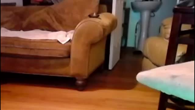 annunakispawn Live Sex September 4, 2025