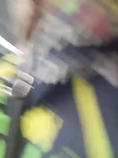 Sweetie29a Live Sex September 5, 2025