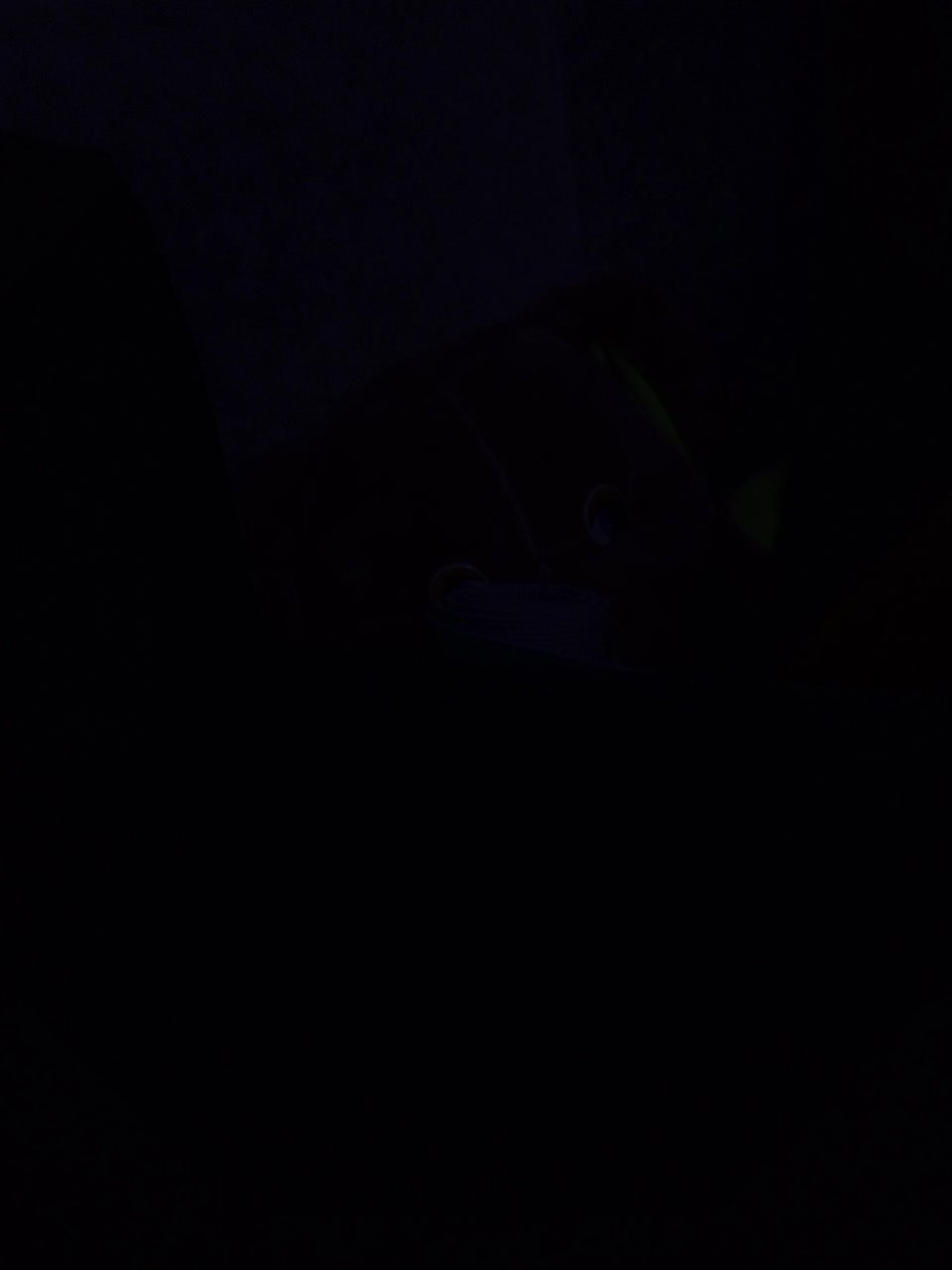 FishKillaMashkatimka Live Sex September 8, 2025