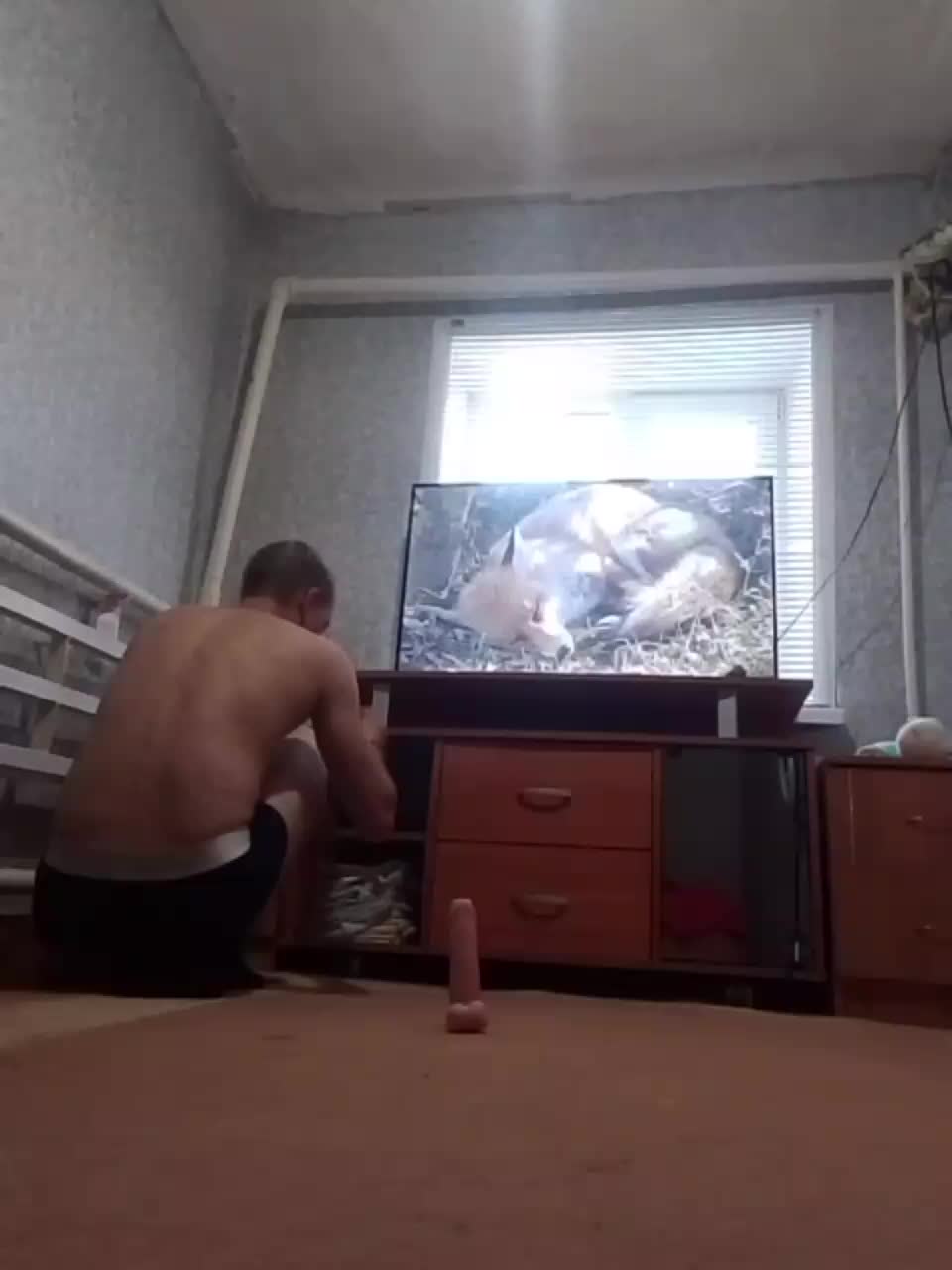 Para26 Live Sex September 14, 2025