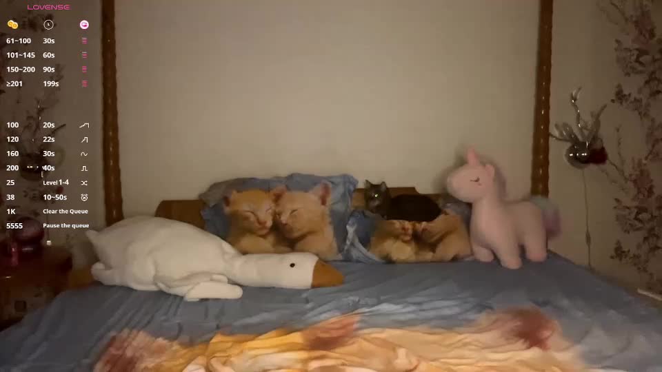 arabardon Live Sex September 16, 2025