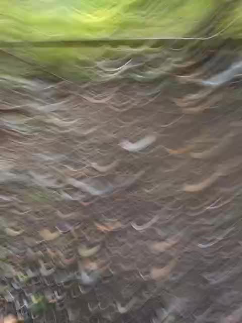 Sweetie29a Live Sex September 19, 2025