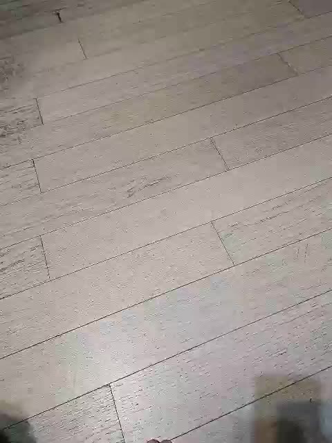 Dii-6 Live Sex September 23, 2025