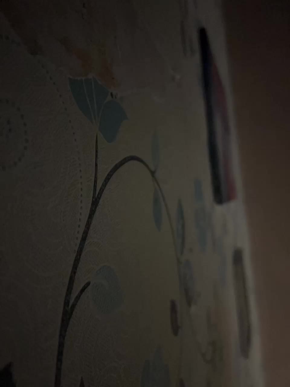 Aleks3012 Live Sex October 3, 2025