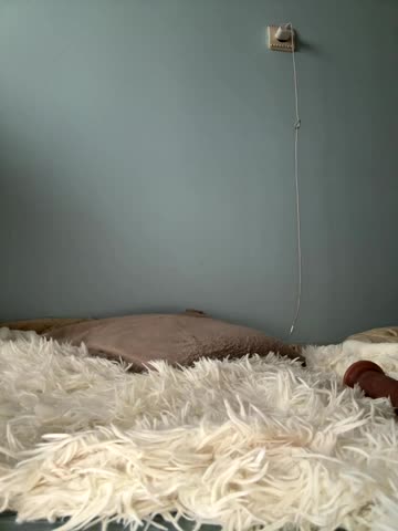 AlisaDoll444 Live Sex October 3, 2025