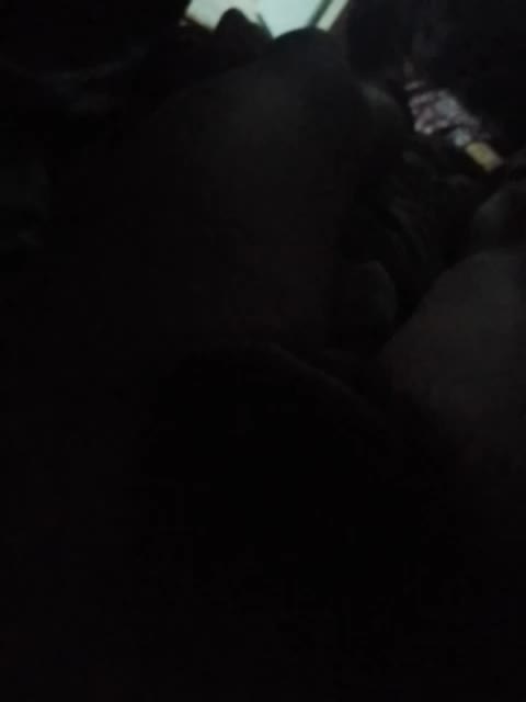 Fuffocka Live Sex October 8, 2025