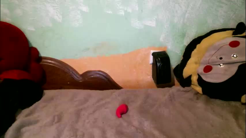 dennisxcarol Live Sex October 10, 2025