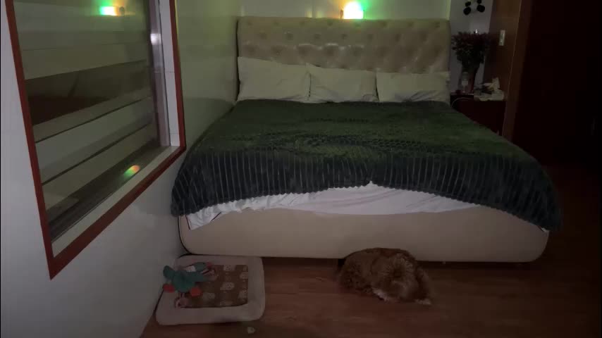 mia_floo Live Sex October 11, 2025