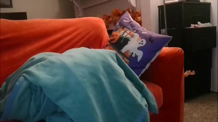 mastersquirter98 Live Sex October 11, 2025