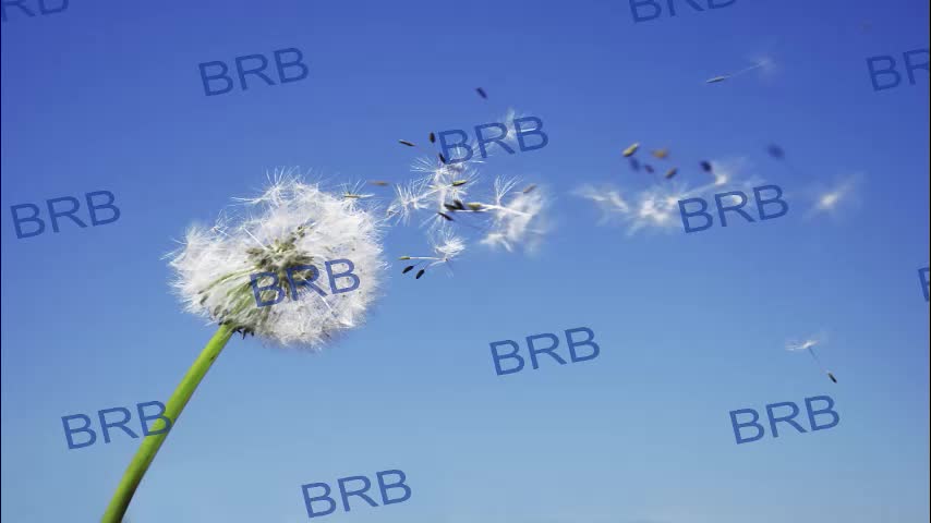 lara_fisher Live Sex October 13, 2025