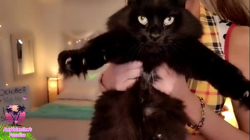 amyvalentine Live Sex October 15, 2025