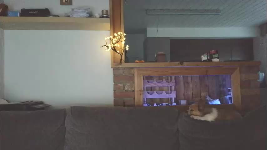 sanroom Live Sex October 23, 2025