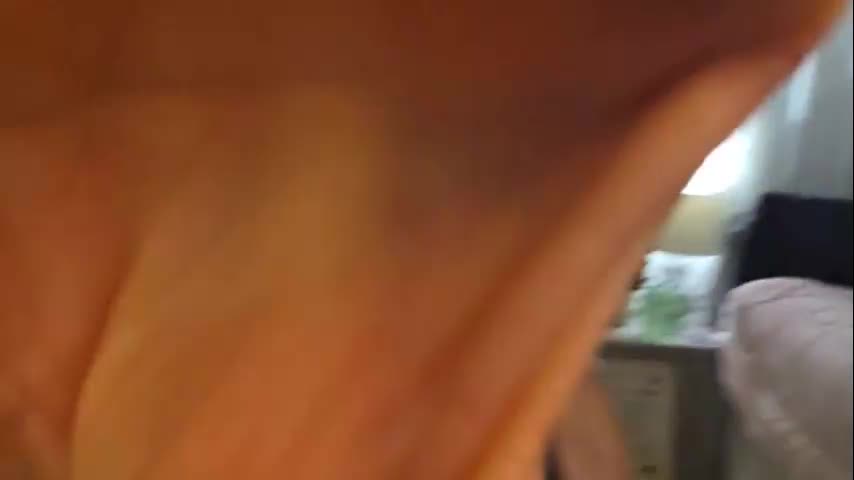 yogimilflover Live Sex October 28, 2025