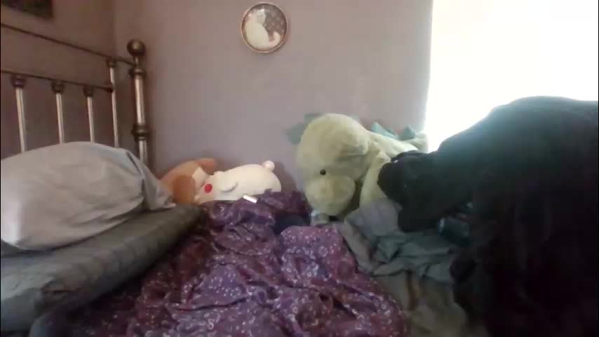 soursou Live Sex October 30, 2025