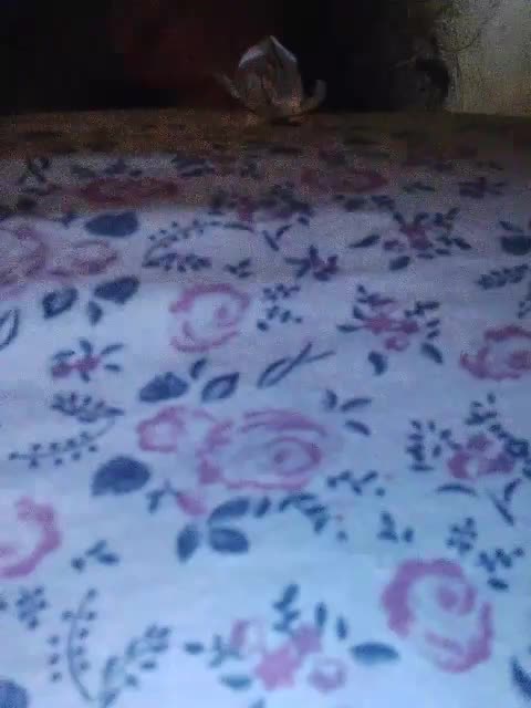 EmpressLady Live Sex November 3, 2025