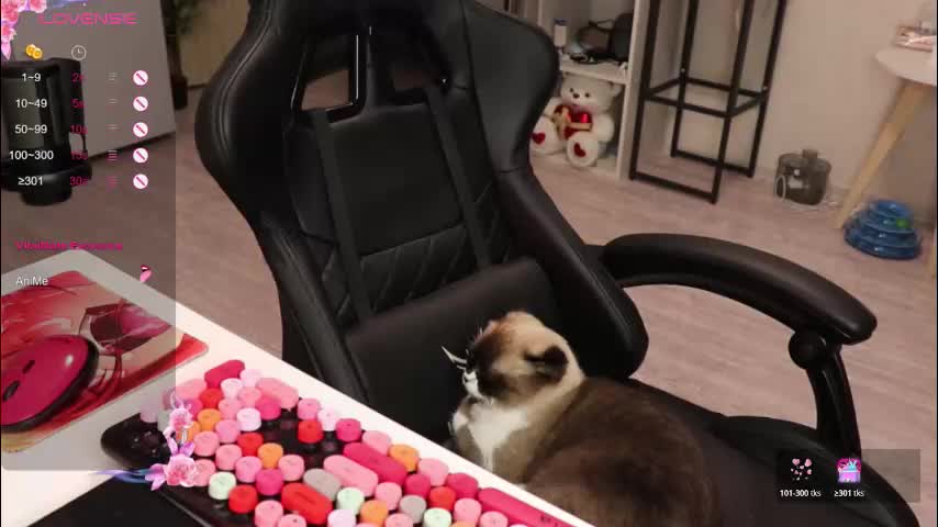 _viv1an_ Live Sex November 6, 2025