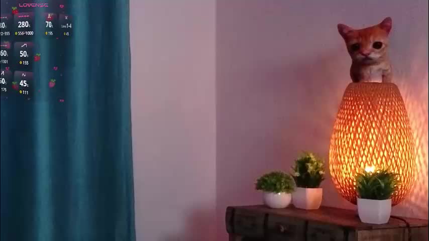 orvacurington Live Sex November 7, 2025