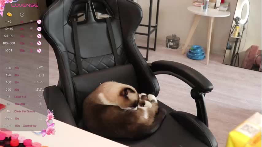 _viv1an_ Live Sex November 7, 2025