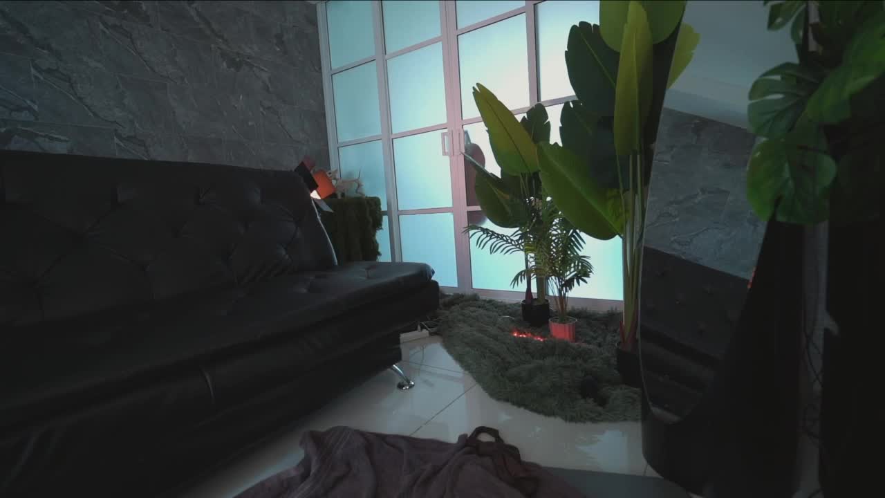 delpogorlo Live Sex November 8, 2025