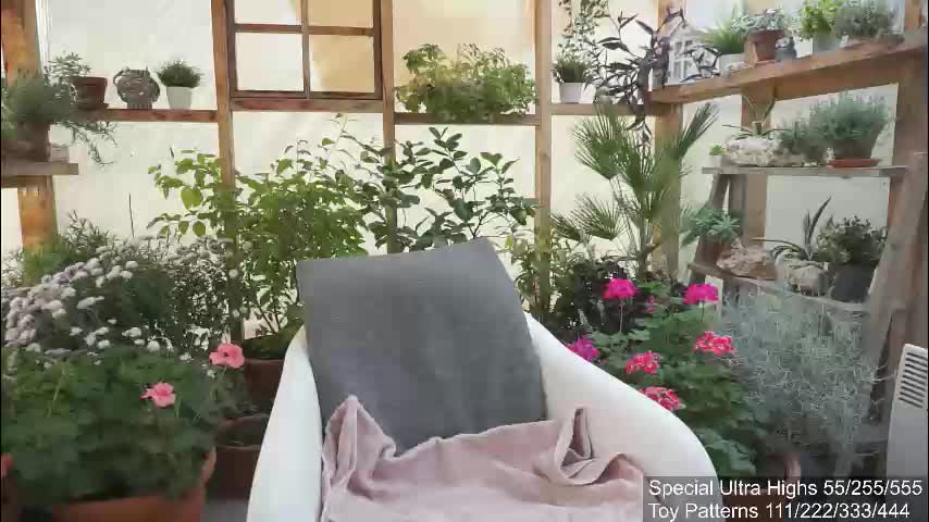 yournaughtypixie Live Sex November 9, 2025