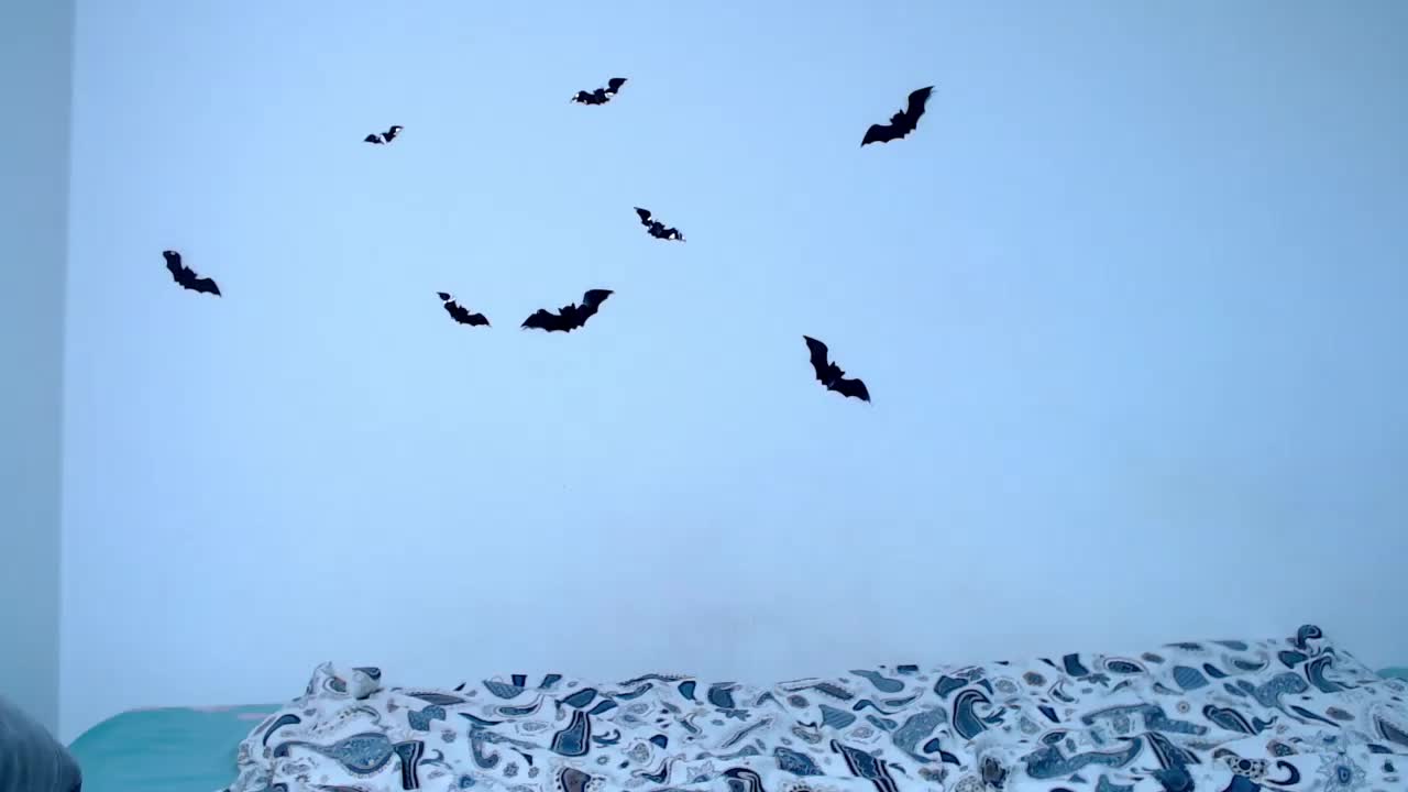 littleowlx Live Sex November 10, 2025