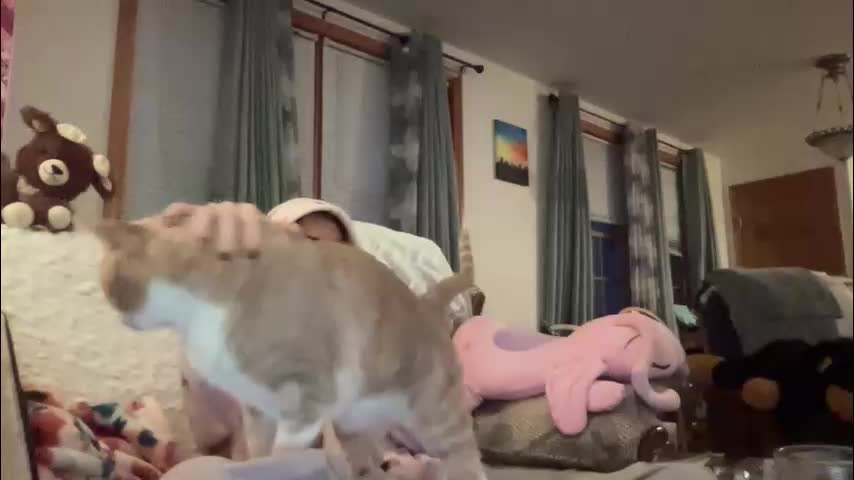 paisleysnowxo Live Sex November 11, 2025