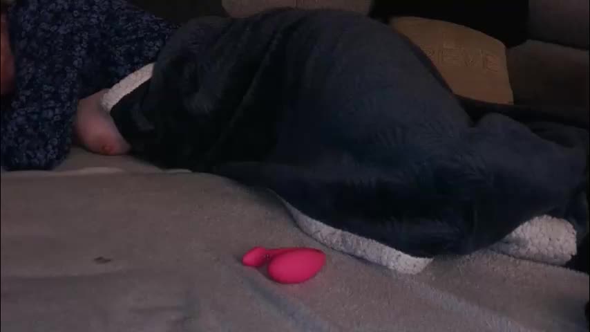 goodtimebfrench Live Sex November 12, 2025