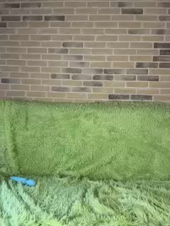 Panther_0888 Live Sex November 12, 2025