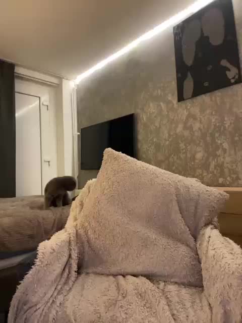 TianaCharmi Live Sex November 15, 2025