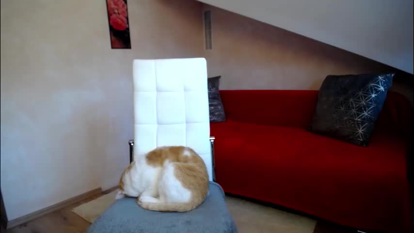 kathylovexxx Live Sex November 16, 2025