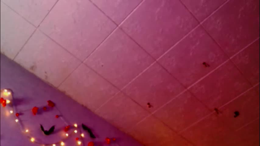 tits_your_dreams Live Sex November 18, 2025