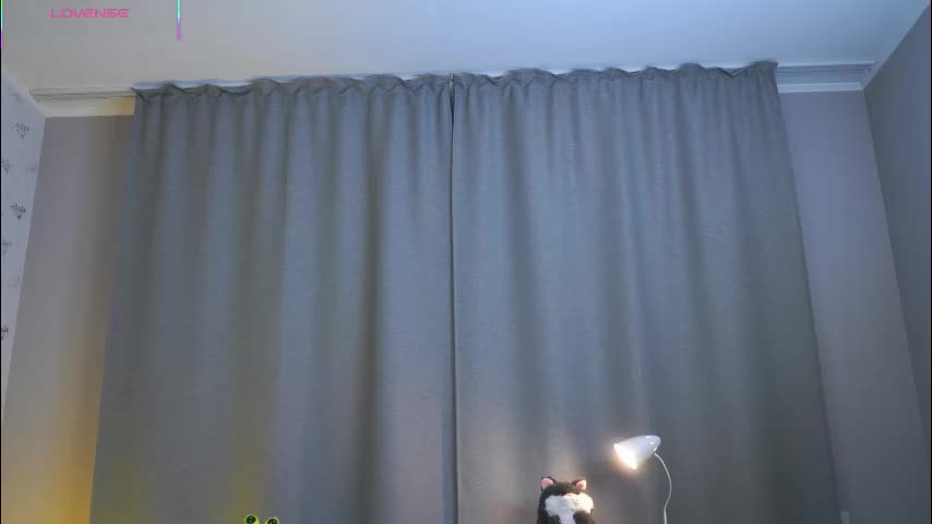 gladysacreman Live Sex November 19, 2025