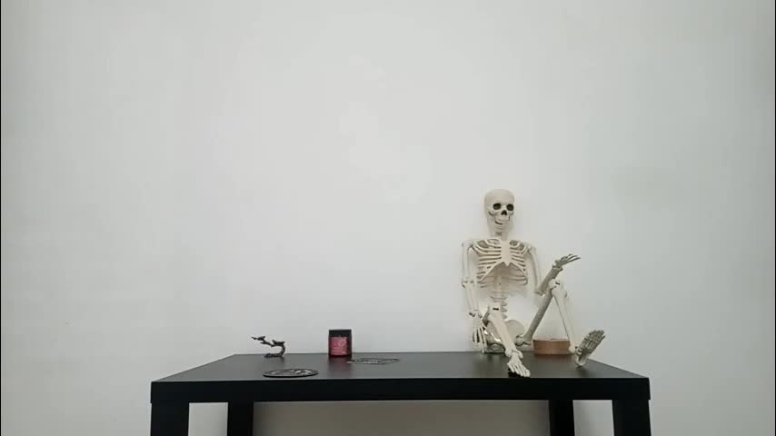 wandabeese Live Sex November 20, 2025