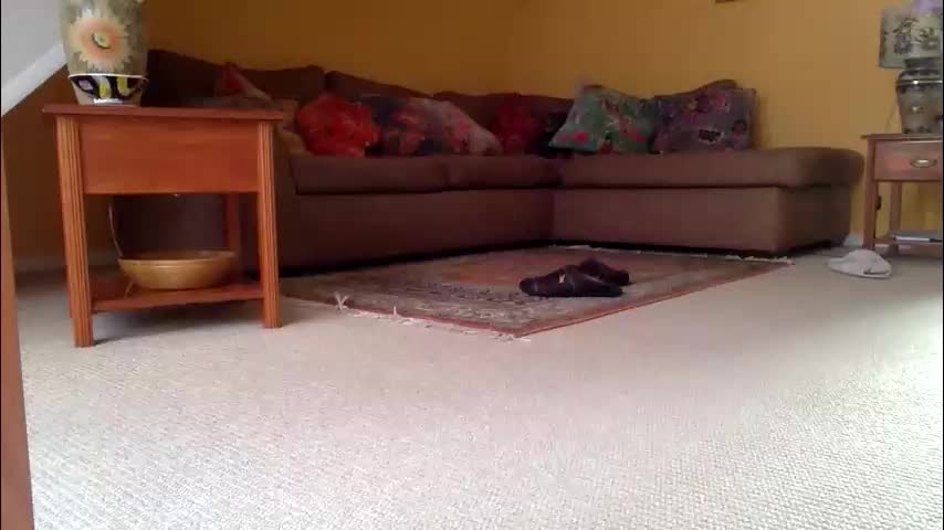 cumonherguys Live Sex November 17, 2025