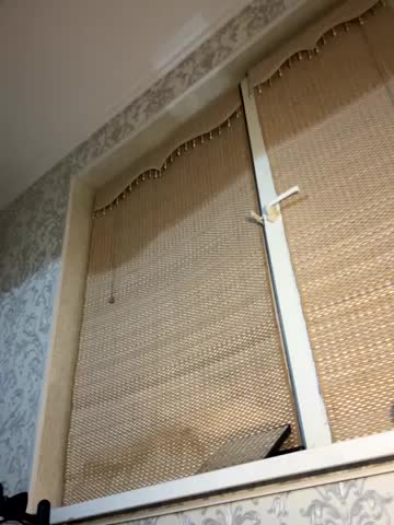 MissDasha Live Sex November 28, 2025