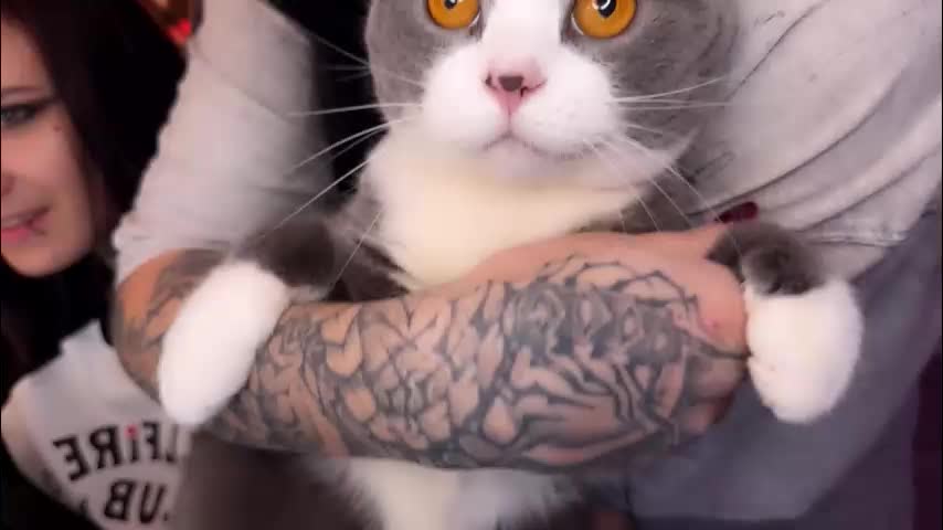 ripper_66 Live Sex November 29, 2025