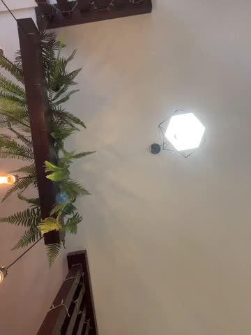 MiraReach Live Sex November 29, 2025