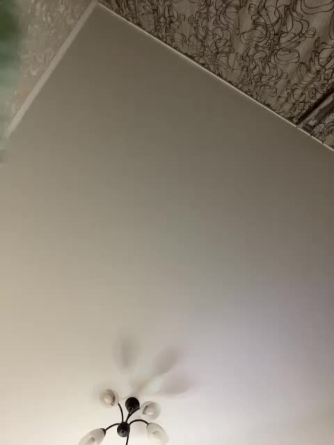 HellMor Live Sex November 29, 2025