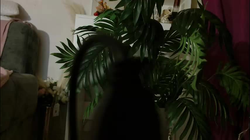 imcarrieberry Live Sex December 1, 2025