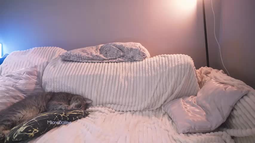 milanabaileys_ Live Sex December 1, 2025