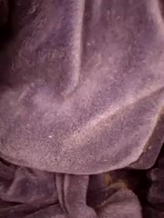 KissMiSveet Live Sex December 1, 2025