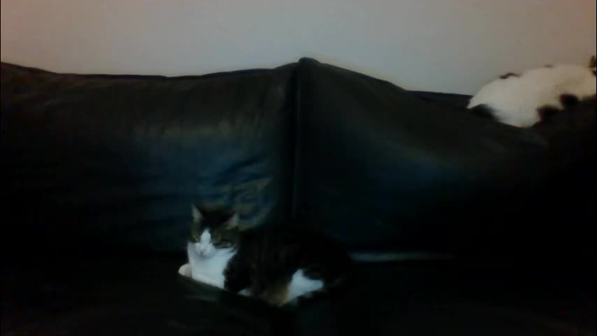 milagaborxx Live Sex December 2, 2025